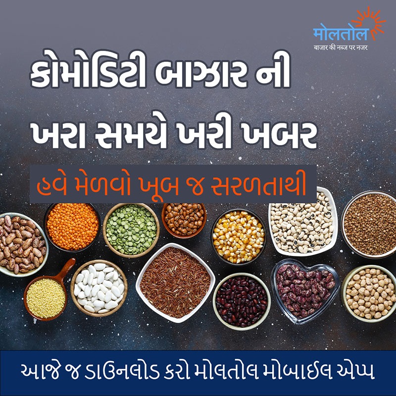 Gujarati App
